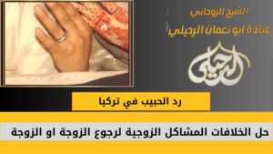 رد الحبيب في تركيا