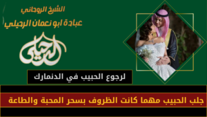 لرجوع الحبيب في الدنمارك