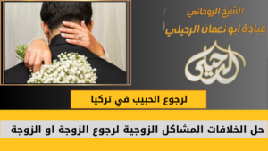 لرجوع الحبيب في تركيا