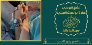 تفسير رجوع الحبيب