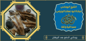 روحاني الدفع بعد البرهان