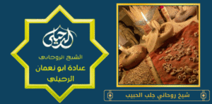 شيخ روحاني جلب الحبيب